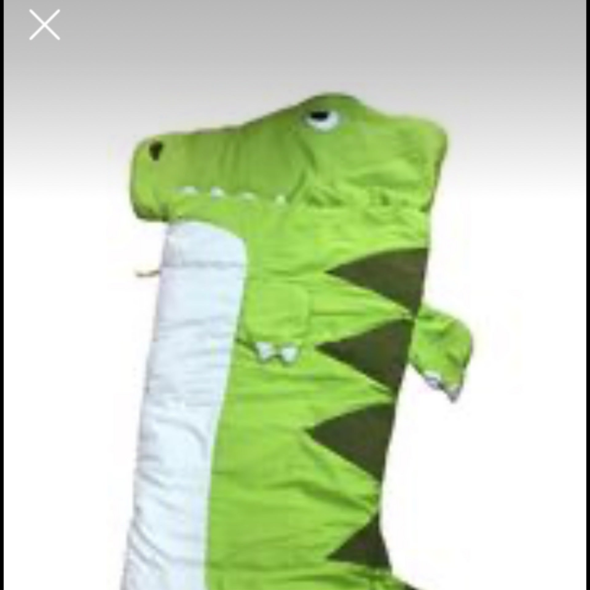 Bedroom Ozark Trail Dinosaur Sleeping Bag My Site